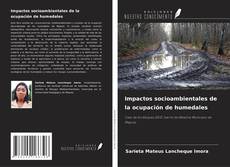 Copertina di Impactos socioambientales de la ocupación de humedales