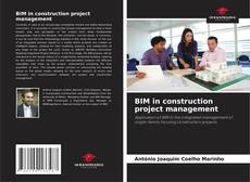 BIM in construction project management的封面