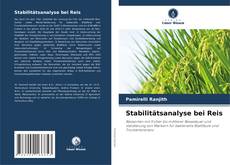 Portada del libro de Stabilitätsanalyse bei Reis