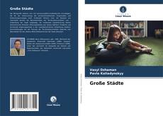 Copertina di Große Städte