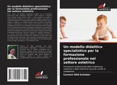 Borítókép a  Un modello didattico specialistico per la formazione professionale nel settore ostetrico - hoz