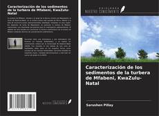 Buchcover von Caracterización de los sedimentos de la turbera de Mfabeni, KwaZulu-Natal