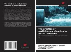 The practice of participatory planning in water resources的封面