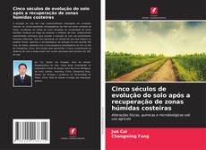 Copertina di Cinco séculos de evolução do solo após a recuperação de zonas húmidas costeiras