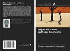 Copertina di Mejora de suelos arcillosos hinchables