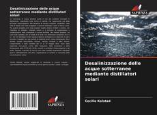 Copertina di Desalinizzazione delle acque sotterranee mediante distillatori solari