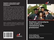 Gestione universitaria nella pratica e valutazione delle prestazioni kitap kapağı