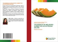 Bookcover of TOLERÂNCIA DE MELOEIRO SUBMETIDO AO ESTRESSE SALINO