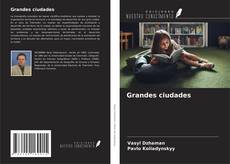 Buchcover von Grandes ciudades