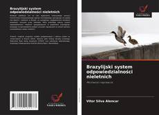 Borítókép a  Brazylijski system odpowiedzialności nieletnich - hoz