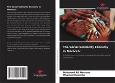 The Social Solidarity Economy in Morocco:的封面