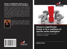 Bookcover of Senso e significato Come si fa a mettere lo spirito nella bottiglia?