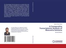 A Comparative Transcriptome Analysis of Beauveria bassiana kitap kapağı