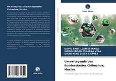 Umweltagenda des Bundesstaates Chihuahua, Mexiko的封面