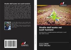 Copertina di Studio dell'azoto nei suoli tunisini