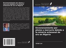 Copertina di Envenenamiento por plomo y mercurio debido a la minería artesanal de oro en Nigeria