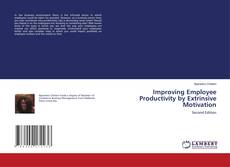 Bookcover of Improving Employee Productivity by Extrinsive Motivation