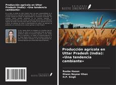 Buchcover von Producción agrícola en Uttar Pradesh (India): «Una tendencia cambiante»