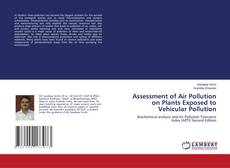 Assessment of Air Pollution on Plants Exposed to Vehicular Pollution的封面