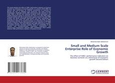 Small and Medium Scale Enterprise Role of Economic Growth kitap kapağı
