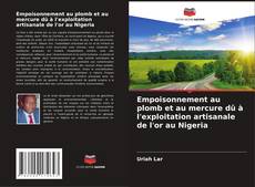 Bookcover of Empoisonnement au plomb et au mercure dû à l'exploitation artisanale de l'or au Nigeria