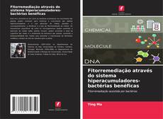 Copertina di Fitorremediação através do sistema hiperacumuladores-bactérias benéficas