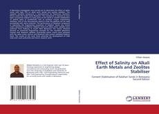 Capa do livro de Effect of Salinity on Alkali Earth Metals and Zeolites Stabiliser 