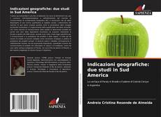 Buchcover von Indicazioni geografiche: due studi in Sud America