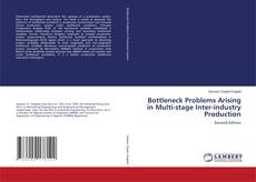 Bottleneck Problems Arising in Multi-stage Inter-industry Production的封面