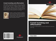Bookcover of Crowd investing and effectuation