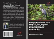 Bookcover of Przegląd globalnej sieci ekologicznej terenów nadbrzeżnych jako siedliska ptaków wędrownych