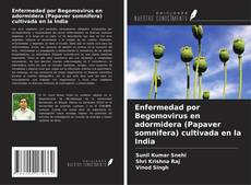 Copertina di Enfermedad por Begomovirus en adormidera (Papaver somnifera) cultivada en la India