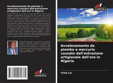 Copertina di Avvelenamento da piombo e mercurio causato dall'estrazione artigianale dell'oro in Nigeria