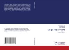 Single File Systems的封面