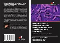 Bookcover of Modellizzazione matematica della moltiplicazione della Salmonella nella maionese