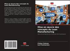 Couverture de Mise en œuvre des concepts du Lean Manufacturing