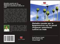 Bookcover of Maladie causée par le Begomovirus sur le pavot (Papaver somnifera) cultivé en Inde