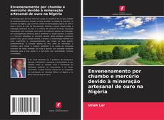 Copertina di Envenenamento por chumbo e mercúrio devido à mineração artesanal de ouro na Nigéria