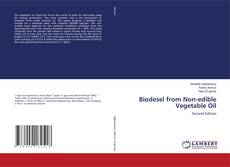 Bookcover of Biodesel from Non-edible Vegetable Oil