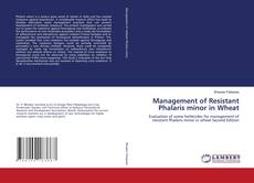 Management of Resistant Phalaris minor in Wheat的封面