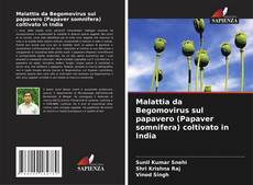 Buchcover von Malattia da Begomovirus sul papavero (Papaver somnifera) coltivato in India