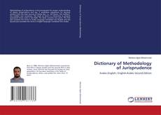 Bookcover of Dictionary of Methodology of Jurisprudence