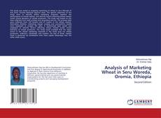 Capa do livro de Analysis of Marketing Wheat in Seru Woreda, Oromia, Ethiopia 