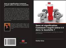 Copertina di Sens et signification Comment l'esprit entre-t-il dans la bouteille ?