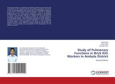 Study of Pulmonary Functions in Brick Kiln Workers in Ambala District kitap kapağı