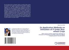 Zn Application Methods on Utilization of P Under Rice-wheat Crops的封面