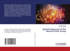Bookcover of Special Subgroups of the General Linear Group