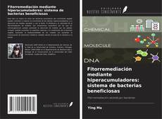 Copertina di Fitorremediación mediante hiperacumuladores: sistema de bacterias beneficiosas