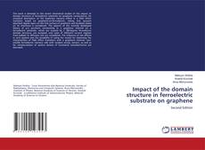 Capa do livro de Impact of the domain structure in ferroelectric substrate on graphene 