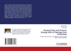 Buchcover von Present Past and Future: Energy bills of Sponge Iron Industries